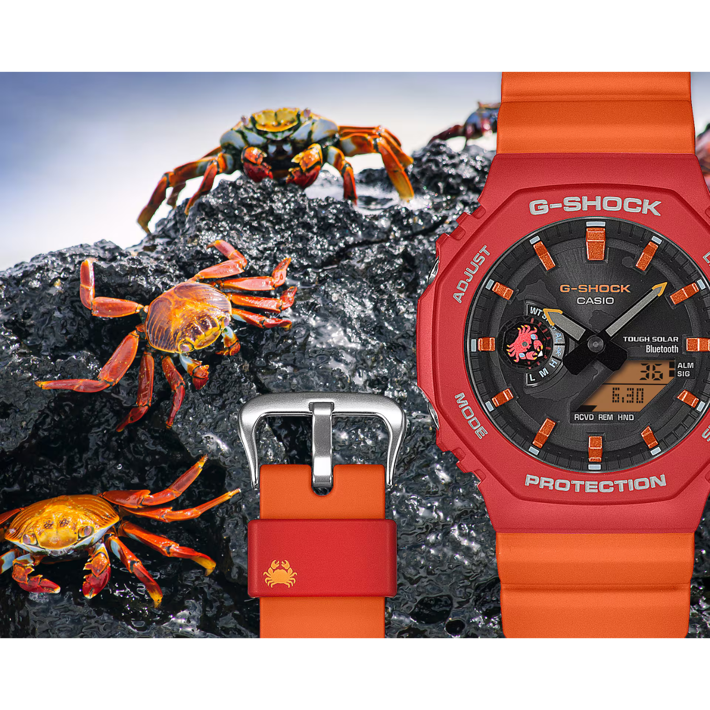 Reloj Análogo Digital Sport Naranja de Hombre Modelo de Colaboración de la Fundación Charles Darwin
