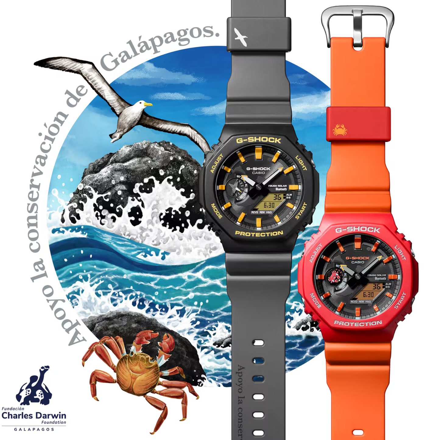 Reloj Análogo Digital Sport Naranja de Hombre Modelo de Colaboración de la Fundación Charles Darwin