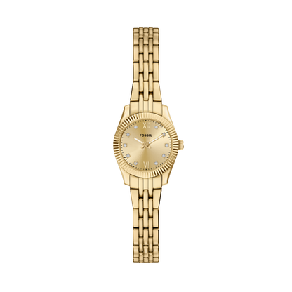 Reloj Análogo Ejecutivo Dorado de Mujer